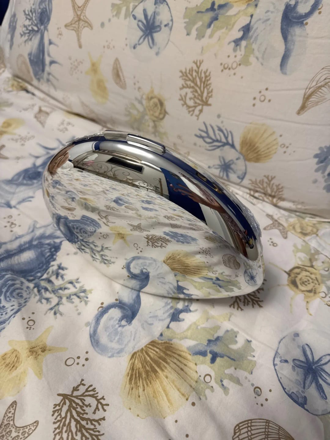Customer photo review of Celeste Shell Shape Evening Clutch