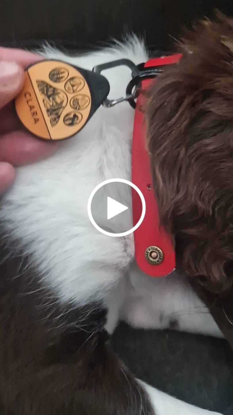 Customer video review of Trailmark - Silent Dog ID Tag