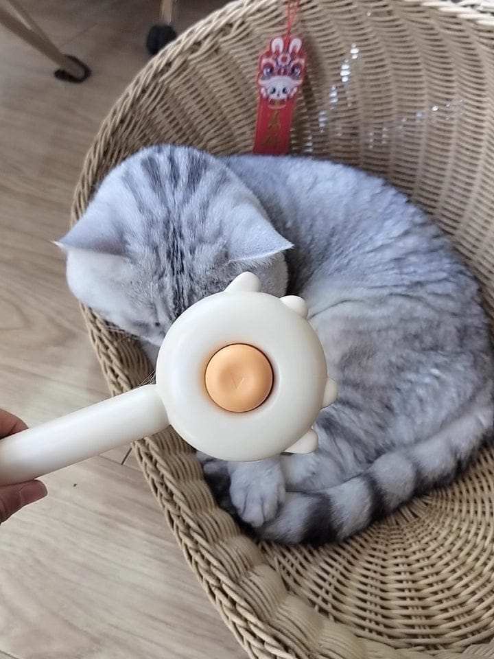 Customer photo review of Cat Grooming Brush with Release Button