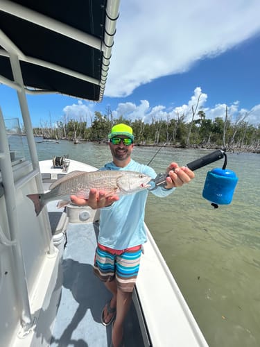 Customer photo review of THE DORADO 2.0 (flat)