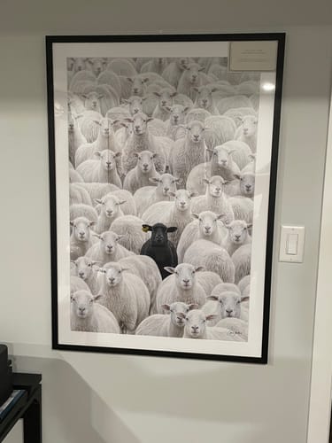 Reviewer's framed 'The Black Sheep' art print showing one black sheep in a flock of white sheep, hanging on a wall.