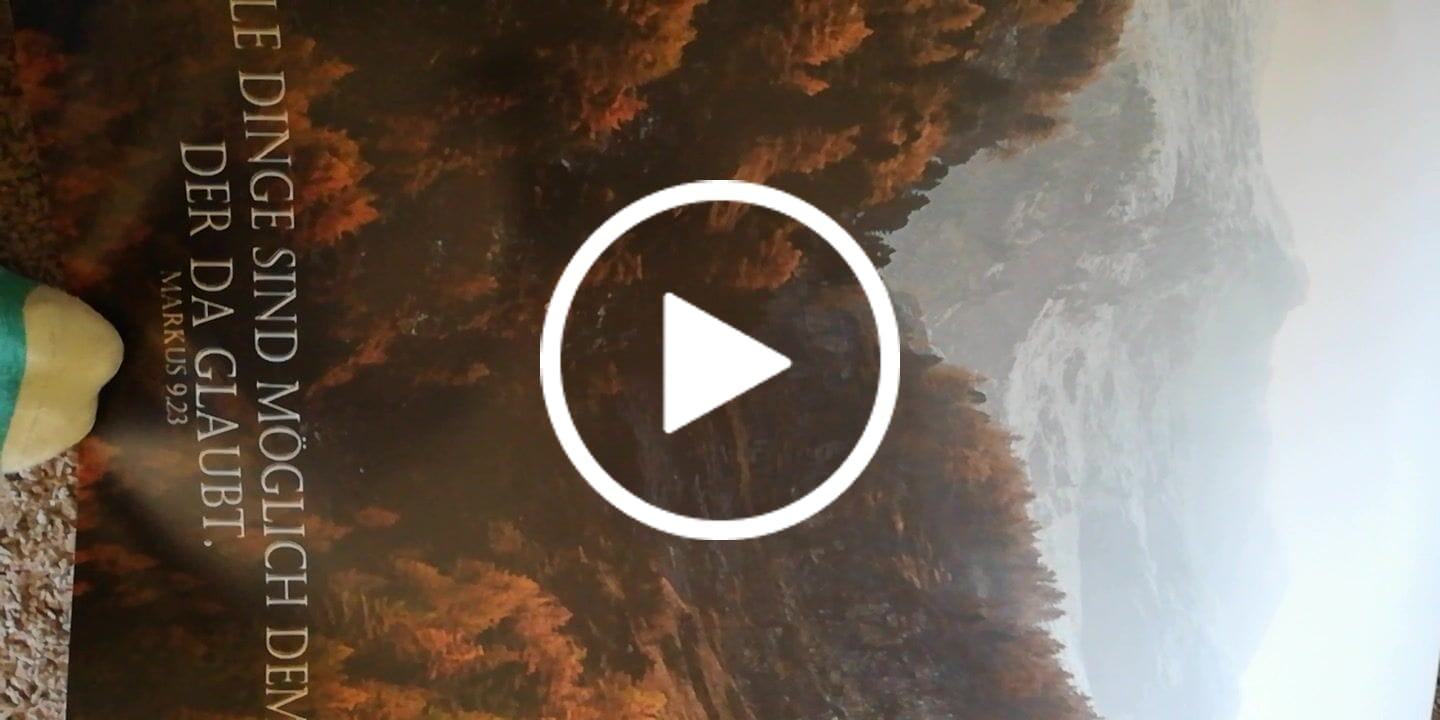 Customer video review of Alle Dinge sind möglich Poster