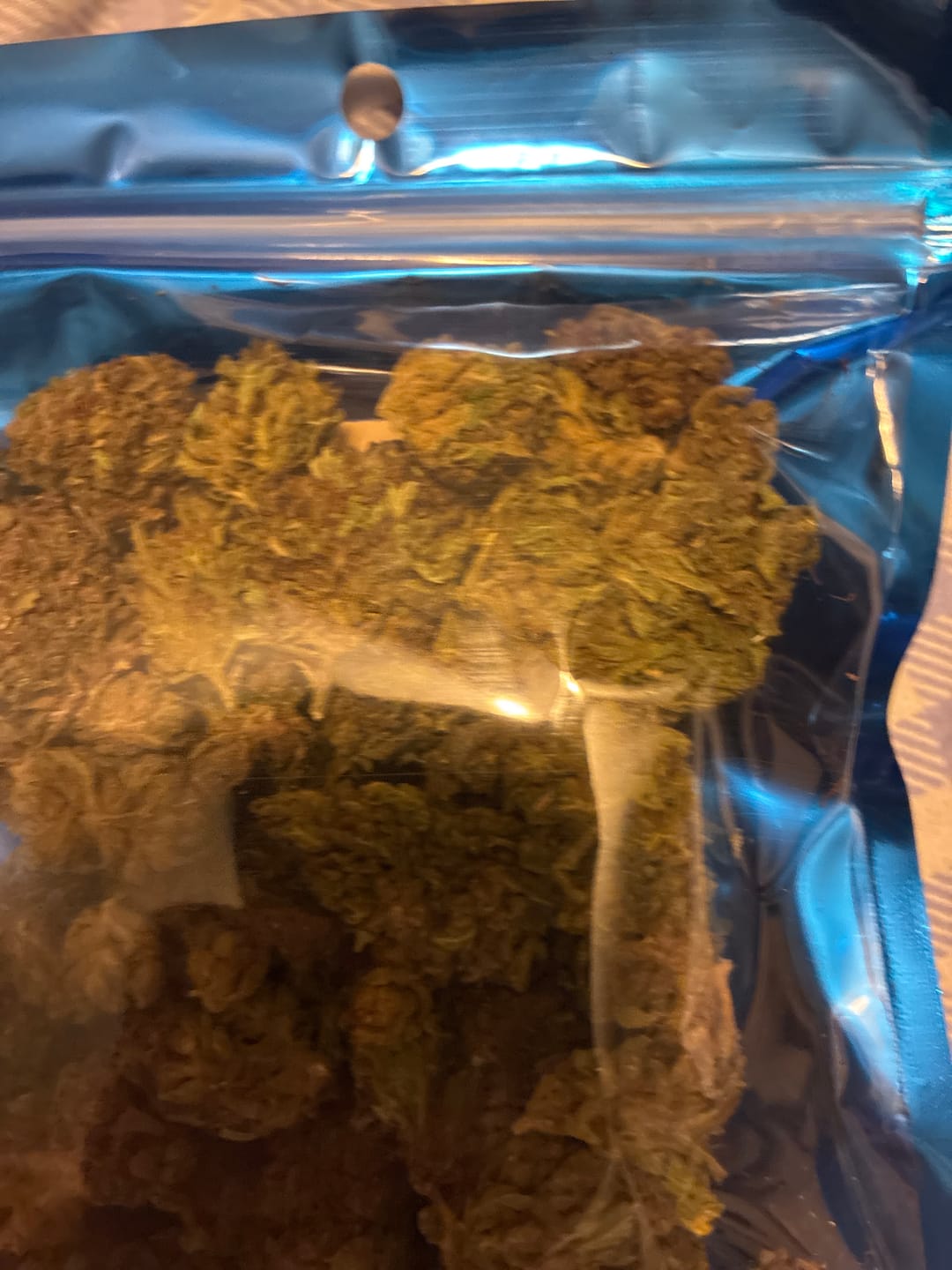 Customer photo review of Purple Kush - Bulk - Indica