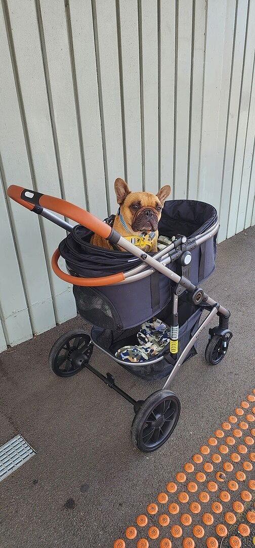 Customer photo review of Fur King Royal - 20kg Pet Stroller