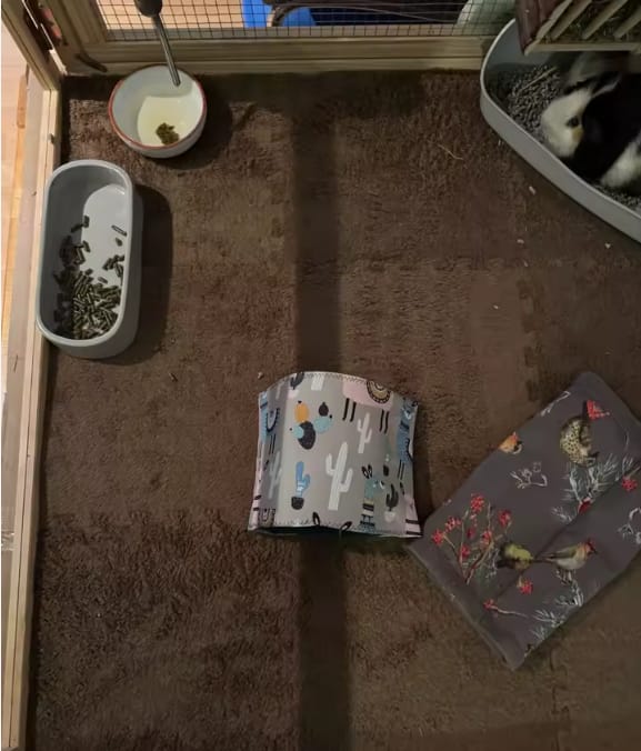 Customer photo review of Pet-Mat