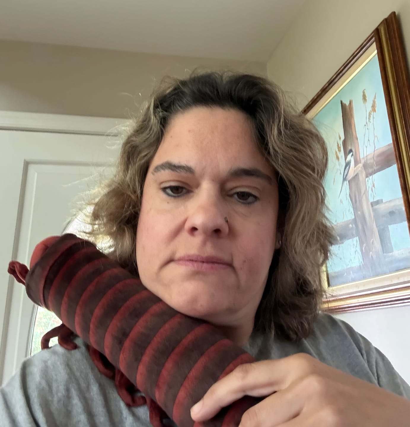 Customer photo review of Specimen 1 - Giant African Millipede Plush
