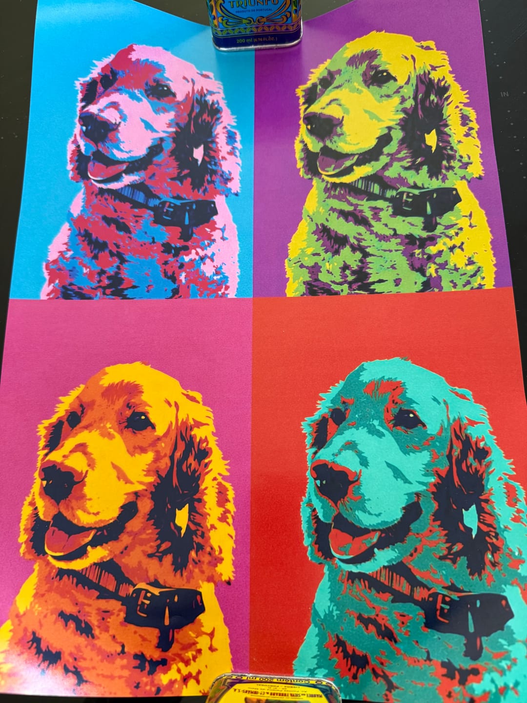 Customer photo review of Personalised Poster With Dog or Cat - Colour Squares