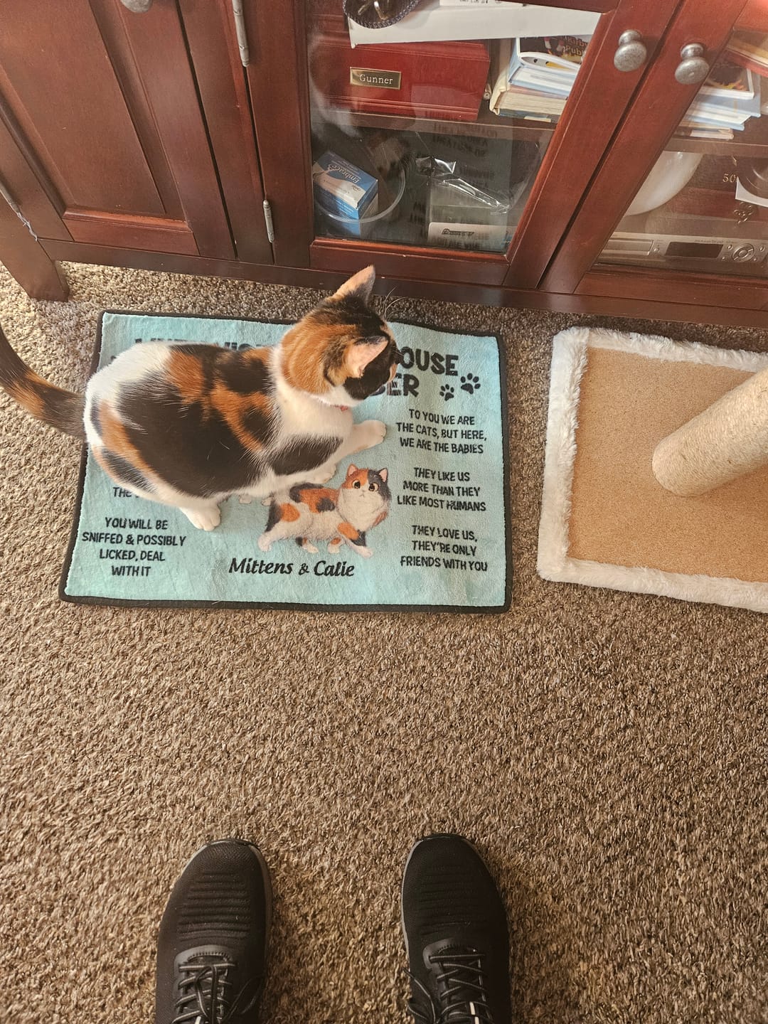 Customer photo review of Please Remember When Visiting Cats House Personalized Doormat