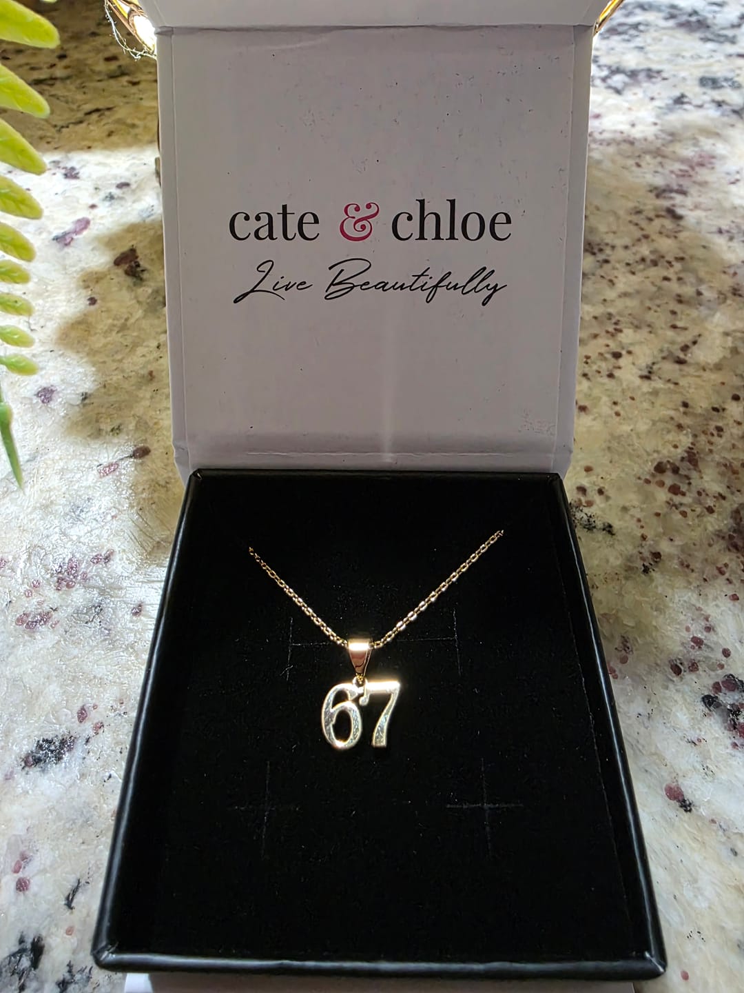 Customer photo review of Danna 18k White Gold Plated 67 Pendant Necklace for Women