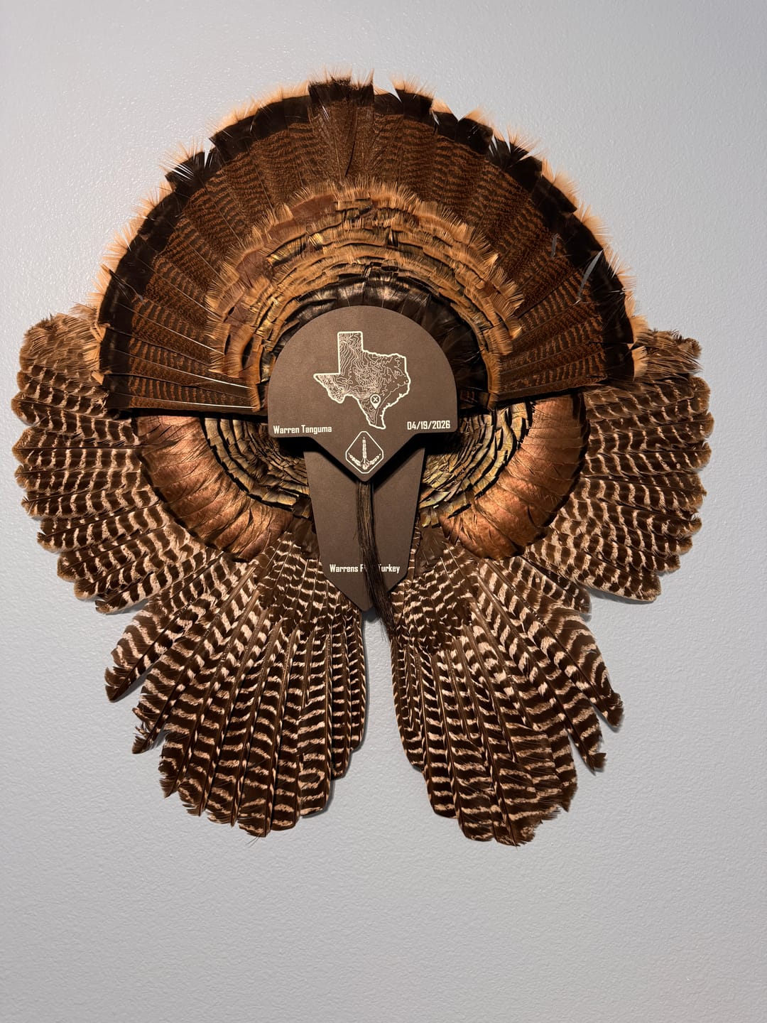 Customer photo review of FeatherLok - Main Plaque