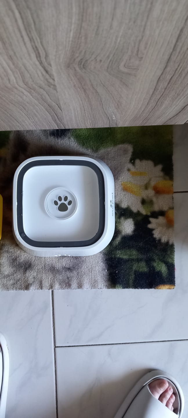 Customer photo review of Gamelle anti éclaboussure - Zero Splash