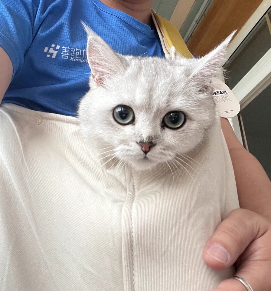 Customer photo review of Portable Pet Sling Carrier Bag With Pocket