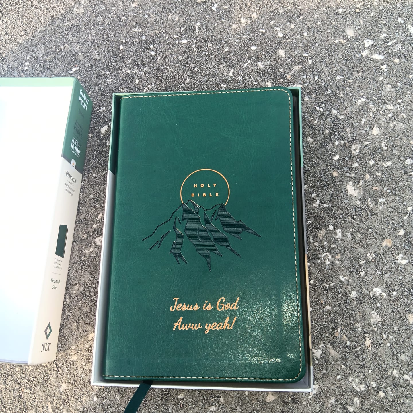 Customer photo review of Personalized NLT Giant Print Evergreen Mountain Bible - Red Letter, Filament Enabled - Floral Frame