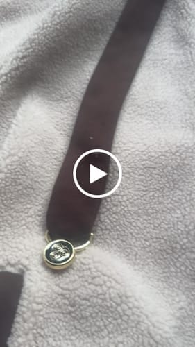 Customer photo review of The Bison Zipper Hoodie Preorder