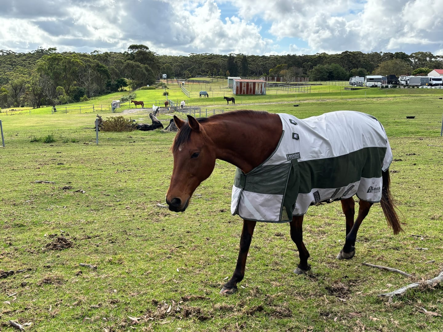 Customer photo review of LE Boxter Hybrid Mack Turnout 0g