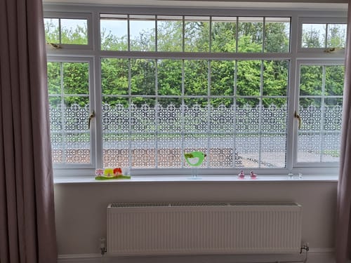 Customer photo review of Zamora Trellis Clear Window Privacy Border (Clear)