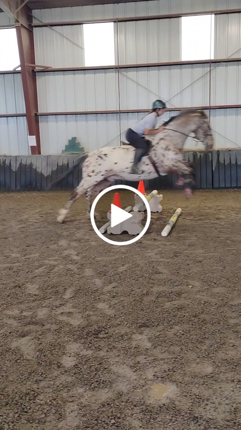 Customer video review of Renegade® Viper Shield™ Hoof Boot Seconds - Dragon Fire Red