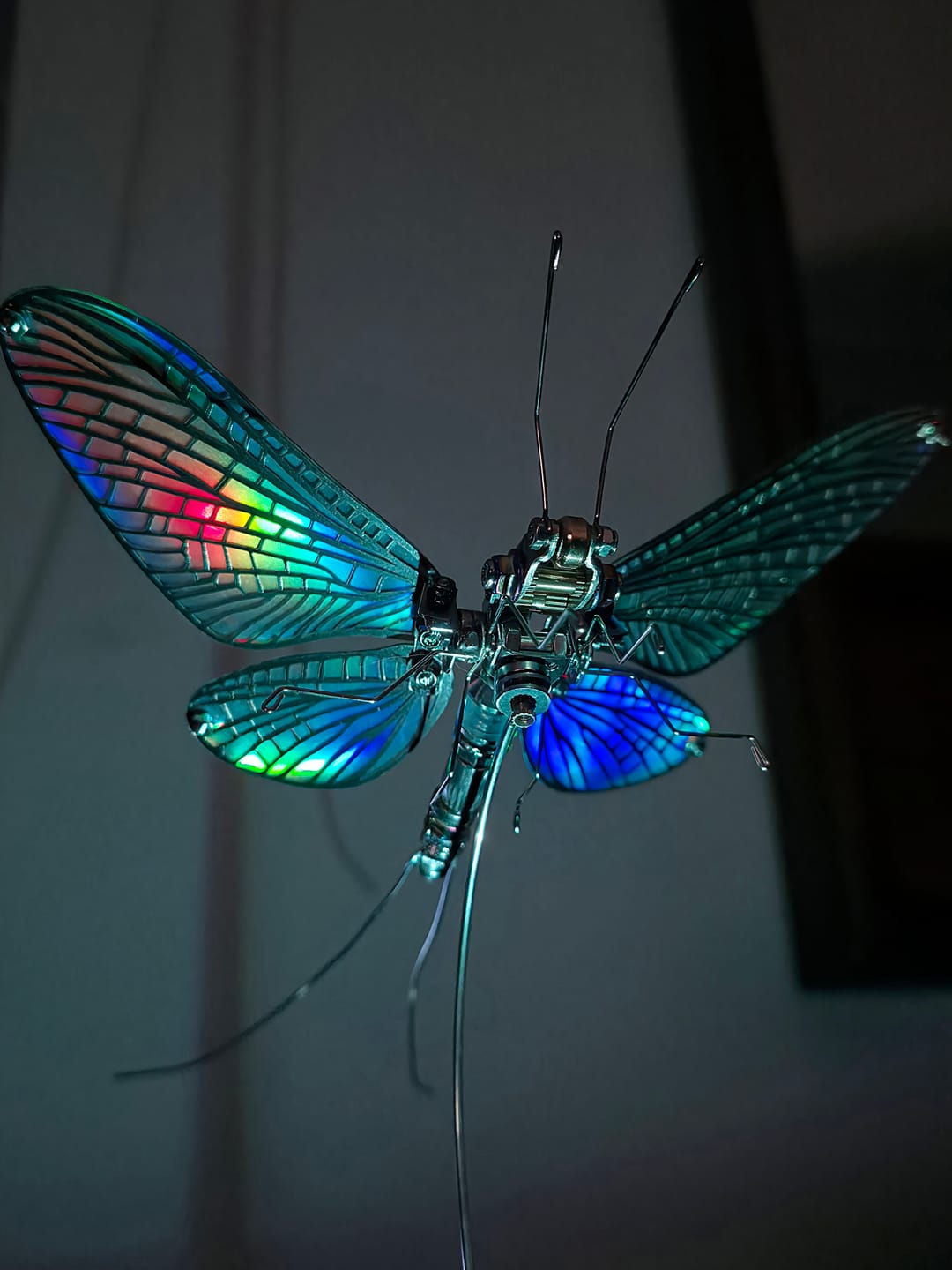 Customer photo review of Mayfly