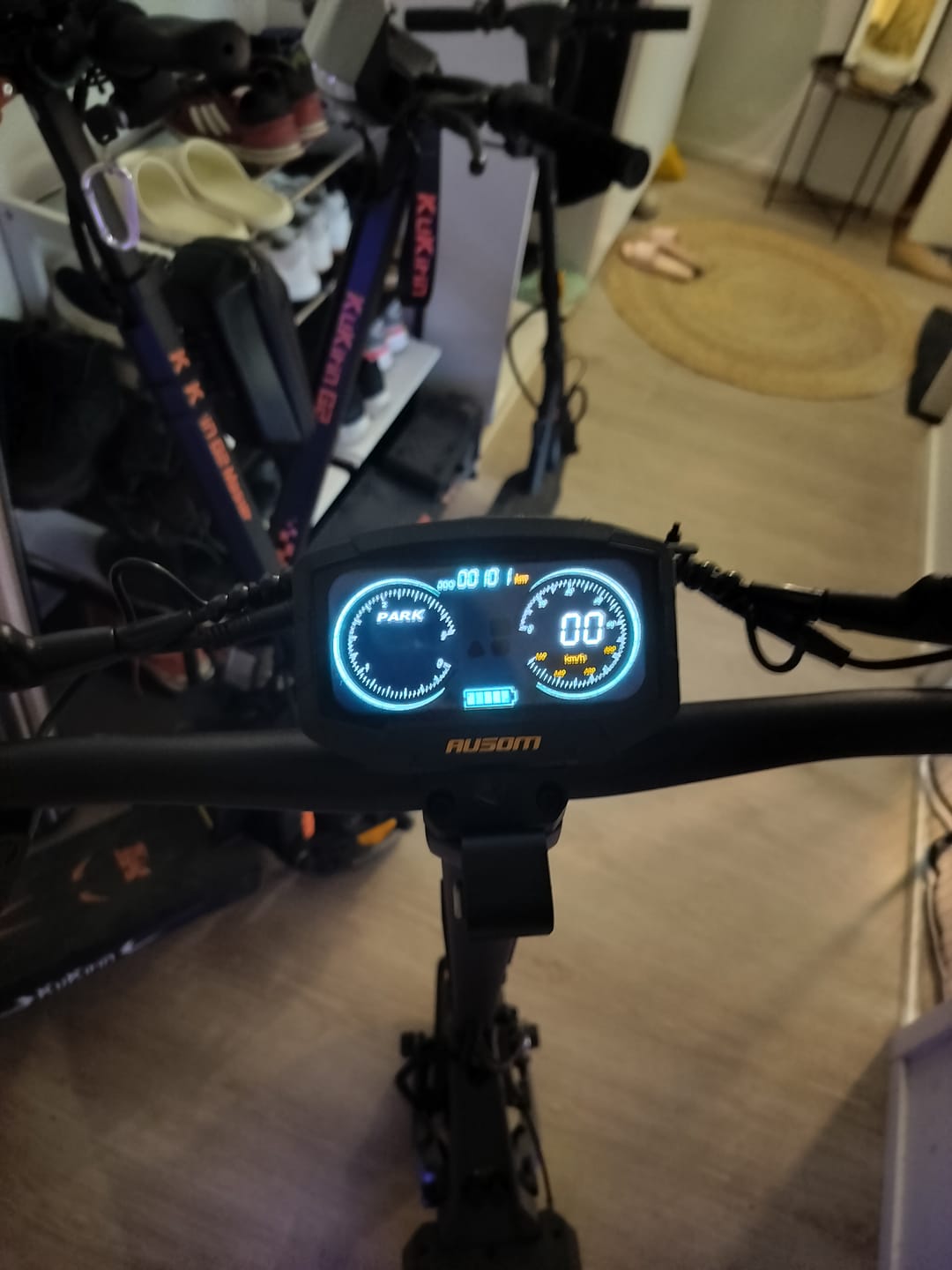 Customer photo review of Ausom DT2 Pro Dual Motor E-scooter