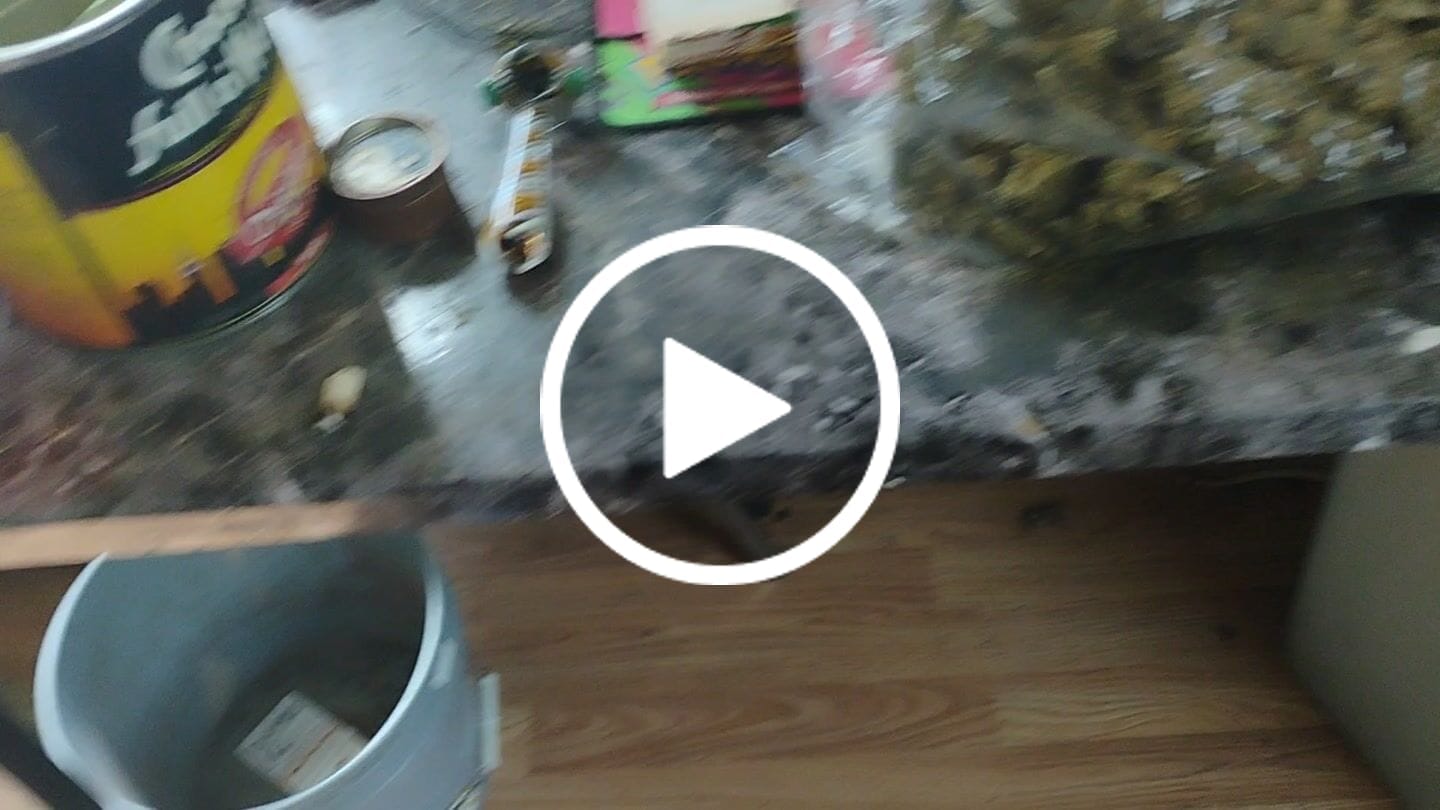 Customer video review of Winter Breath - Bulk - Hybrid