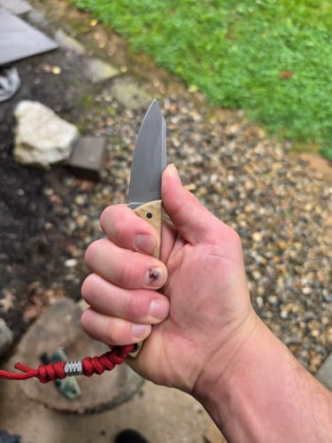 Customer photo review of Maximus Knives Mamba Hybrid 3" Fixed Blade – Rock Textured G10, 80CrV2, Sabre Grind Reverse Tanto – Made in USA (MK-HYBRID)