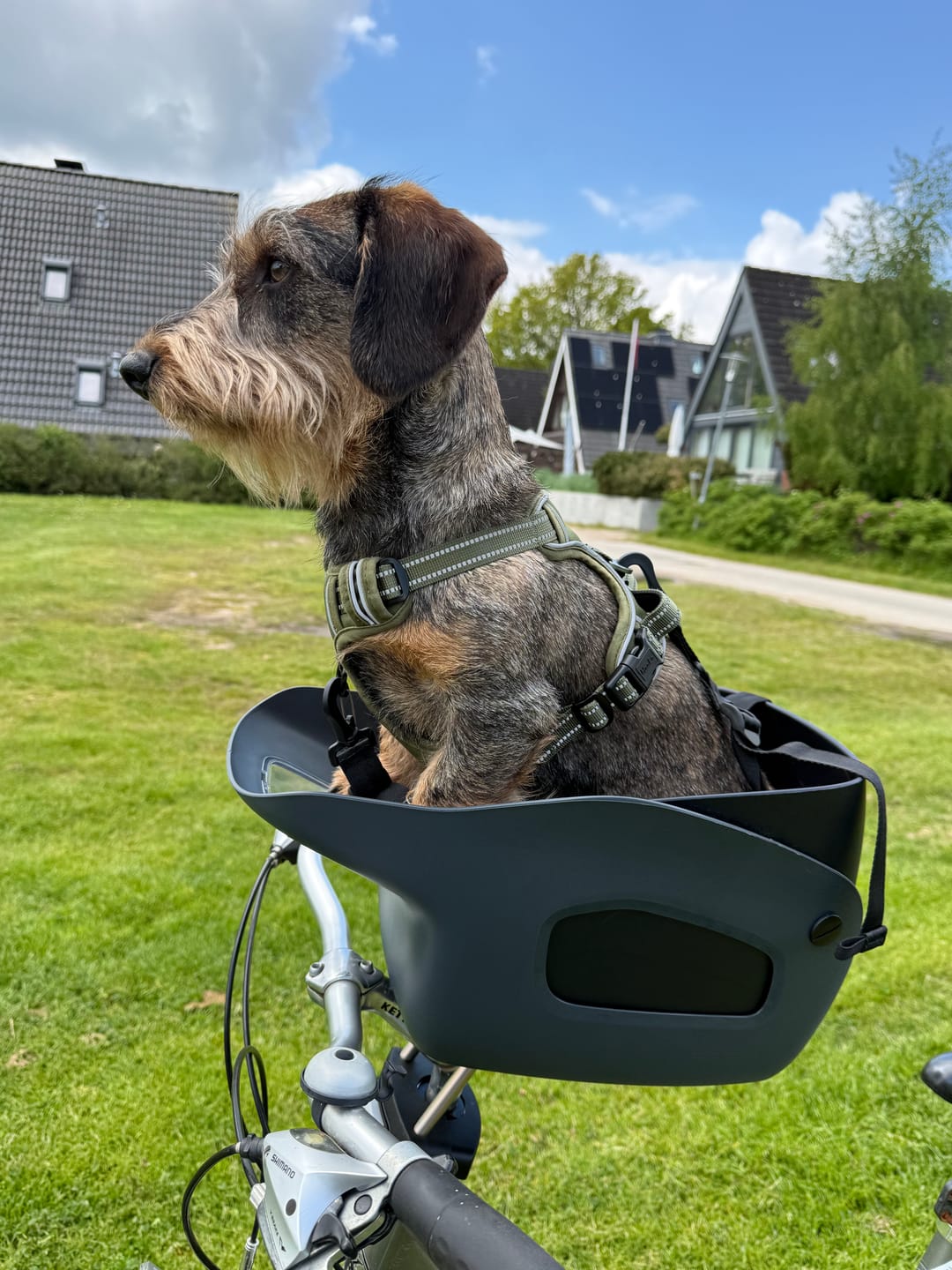 Customer photo review of Kvisp Dog Bike Carrier