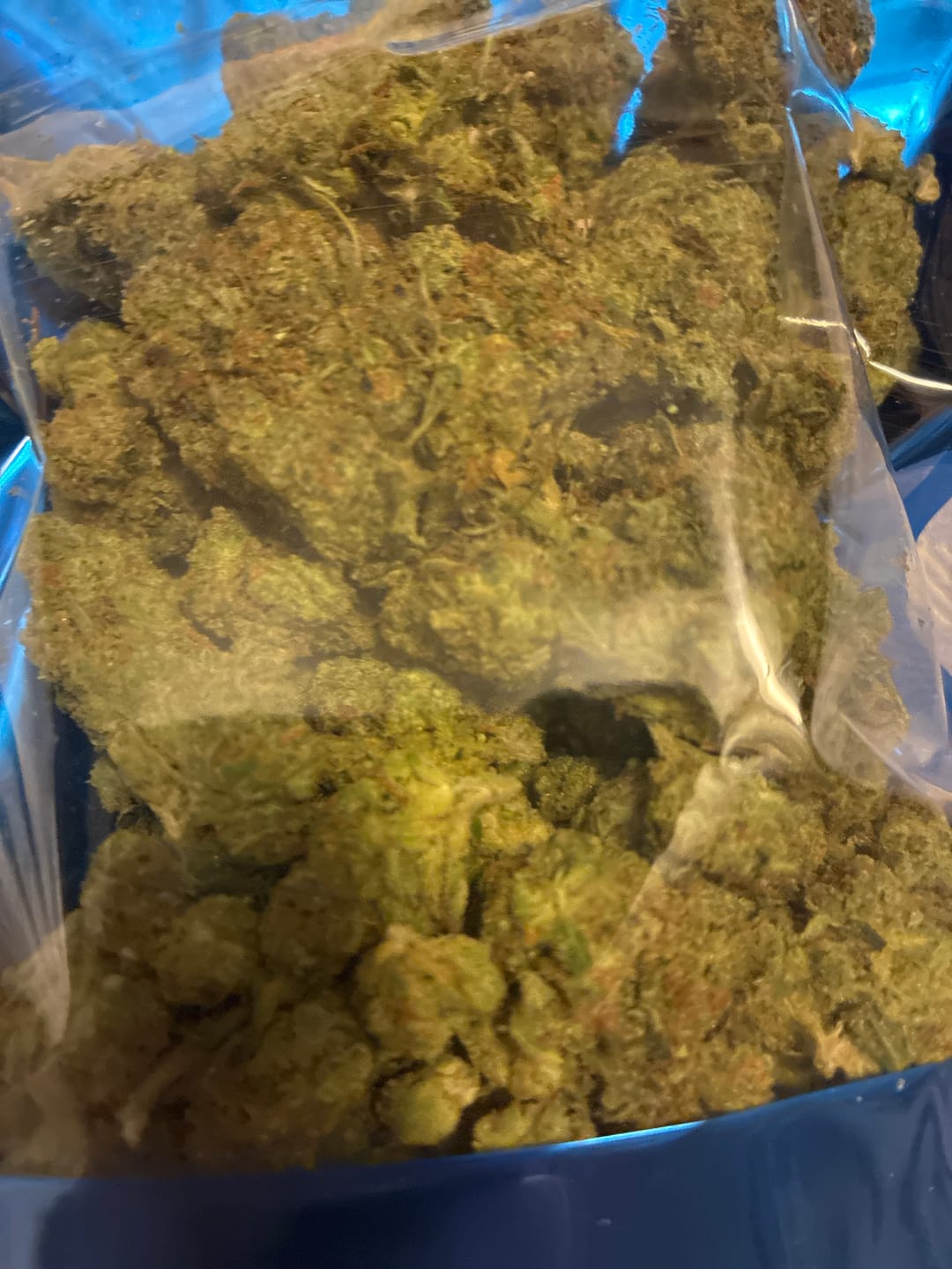 Customer photo review of OG Kush - Bulk - Indica