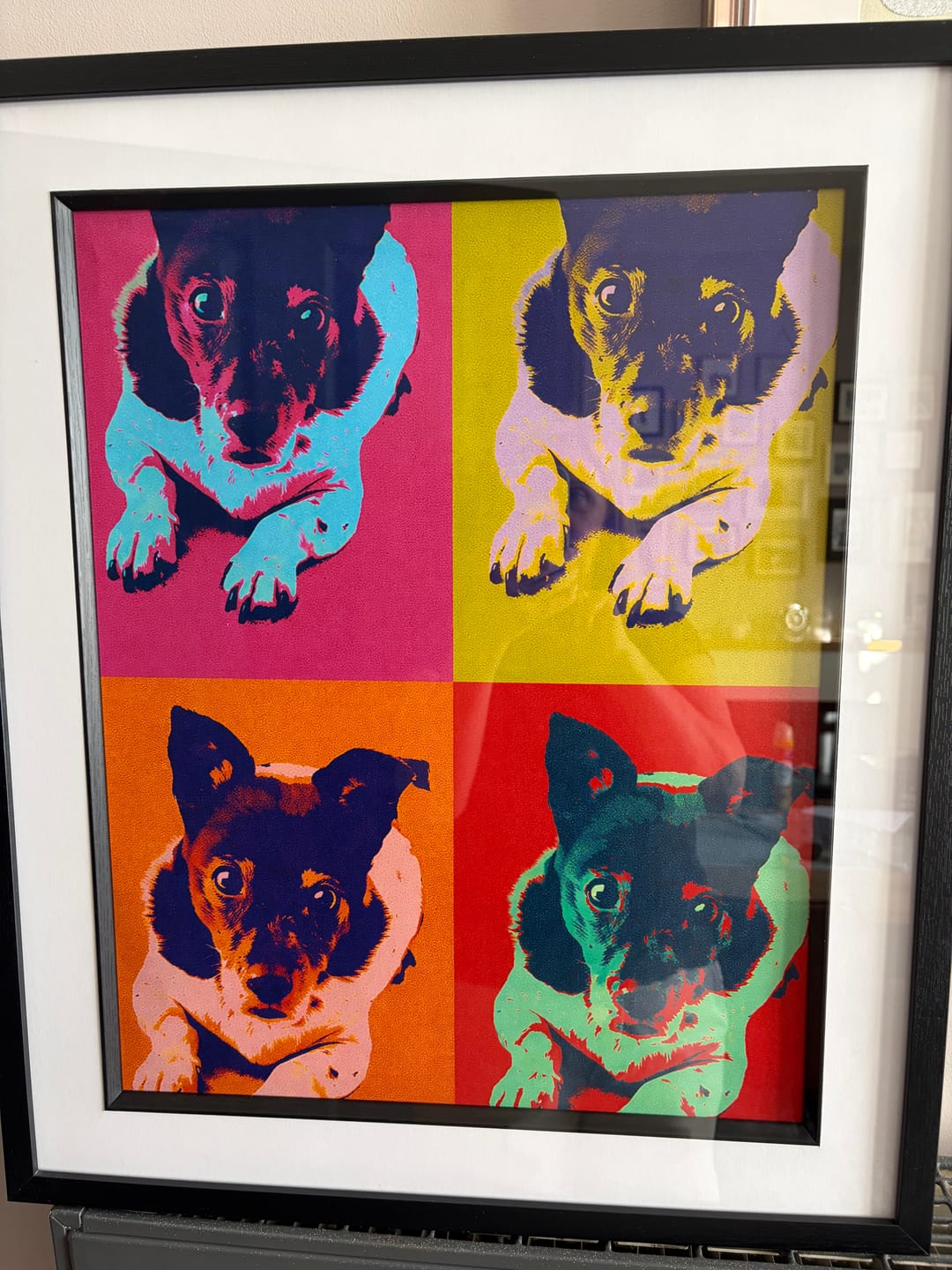 Customer photo review of Personalised Poster With Dog or Cat - Colour Squares