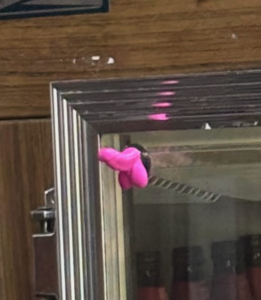 Customer photo review of StickyDicky 🪠🍆 - Dick Sticking Prank (4 Pack!)