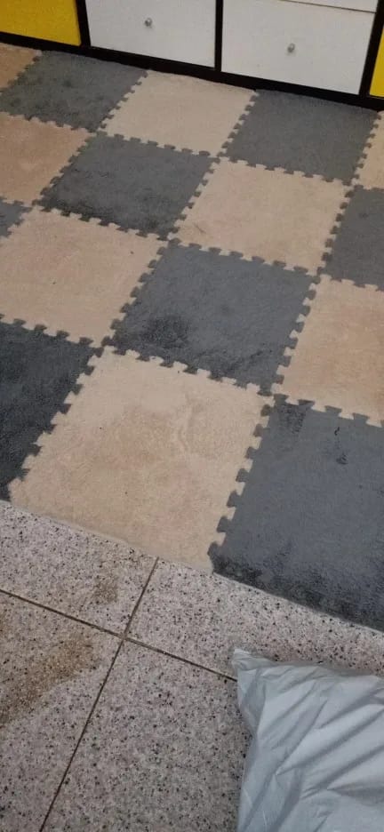 Customer photo review of Pet-Mat