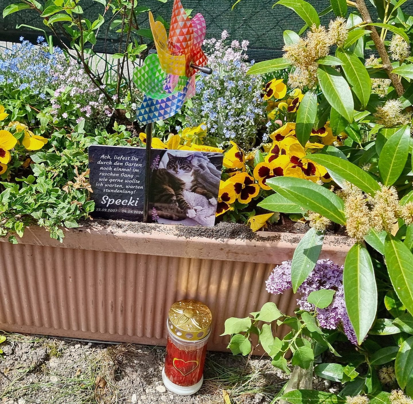 Customer photo review of Katzen Gedenktafel mit Foto & Spruch (UV- & Wetterfest)