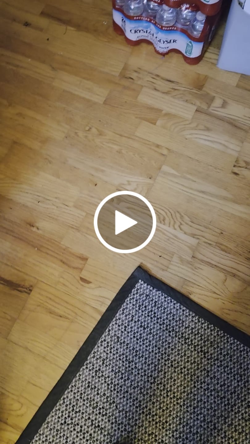 Customer video review of Blooming Elegance Floral Ankle Boots