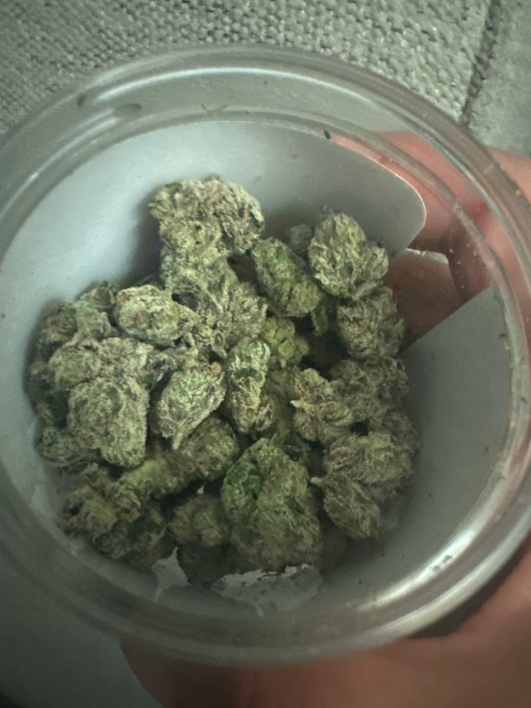 Customer photo review of Boutique Exotics Lemon Dior - Bulk - Hybrid