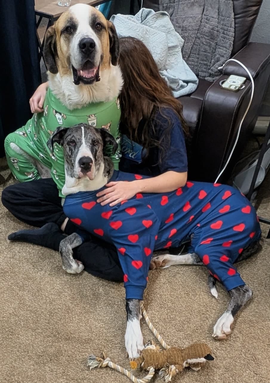 Customer photo review of Dog Pajama - Hearts