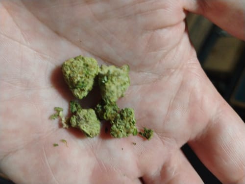 Do Si Dos x Lava Cake Minis - Bulk Minis - Indica photo review