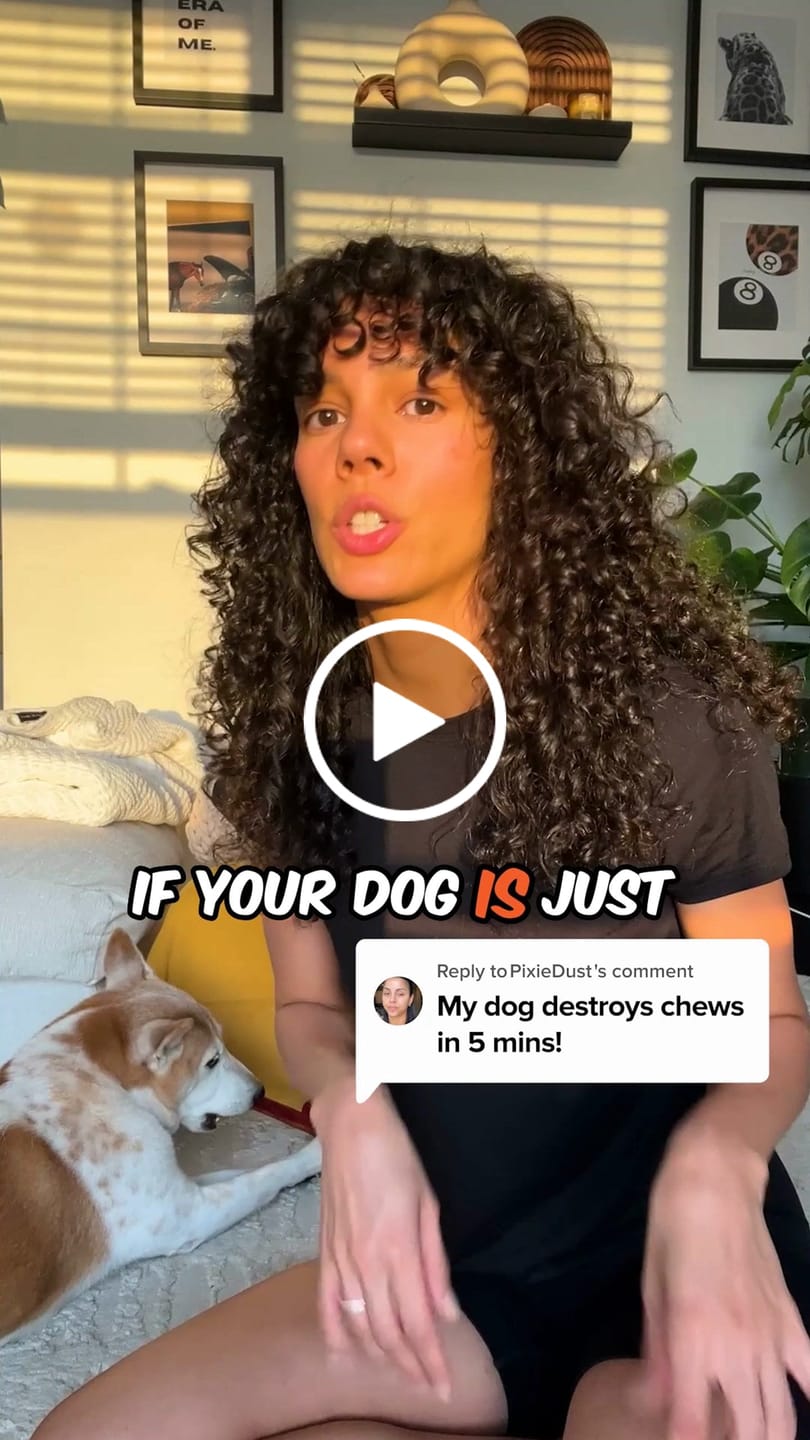 Customer video review of Bully Stick Safety Holder