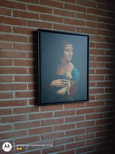 Customer photo review of Lady with an Ermine | Leonardo da Vinci | 1489