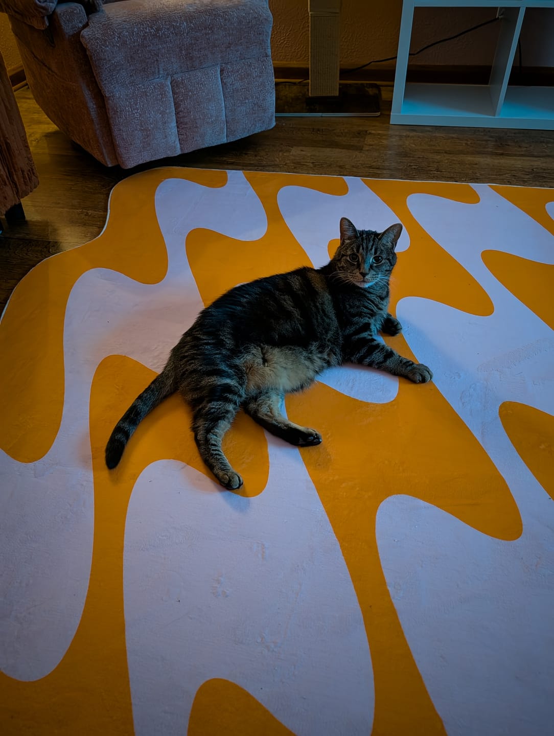 Customer photo review of Pastel Irregular Shaped Wavy Rug by Johann Banta