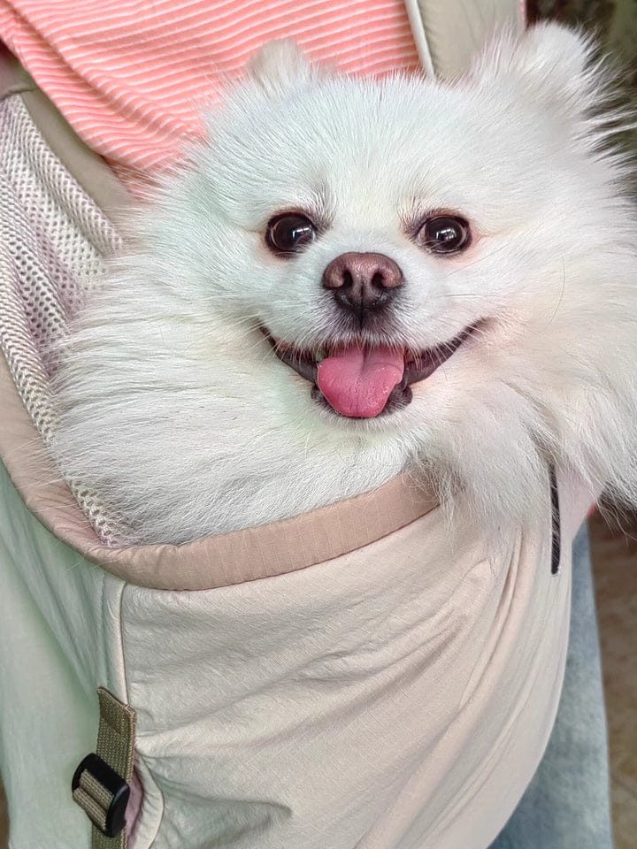 Customer photo review of Wide-Strap Cradle-Style Structured Pet Sling Carrier Bag