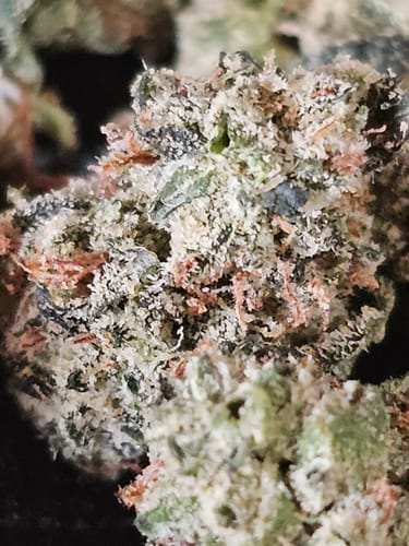 Customer photo review of XJ-13 Exotic THCA Smalls