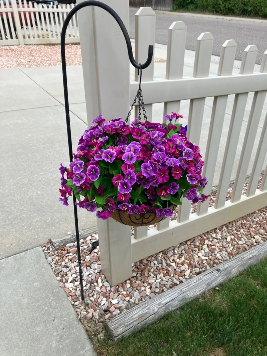 Customer photo review of 🔥Last Day 60% OFF🔥UV Resistant Artificial Petunias Flowers