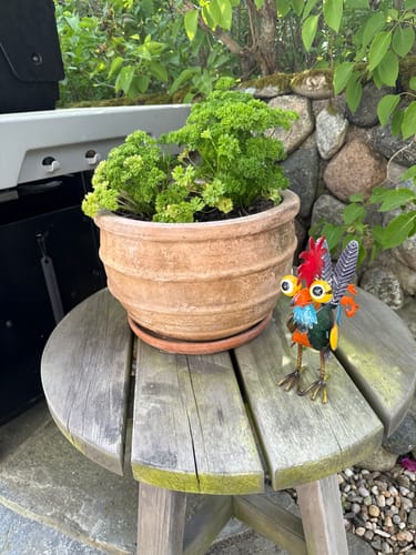 Customer photo review of Morsom hagestatue🐓