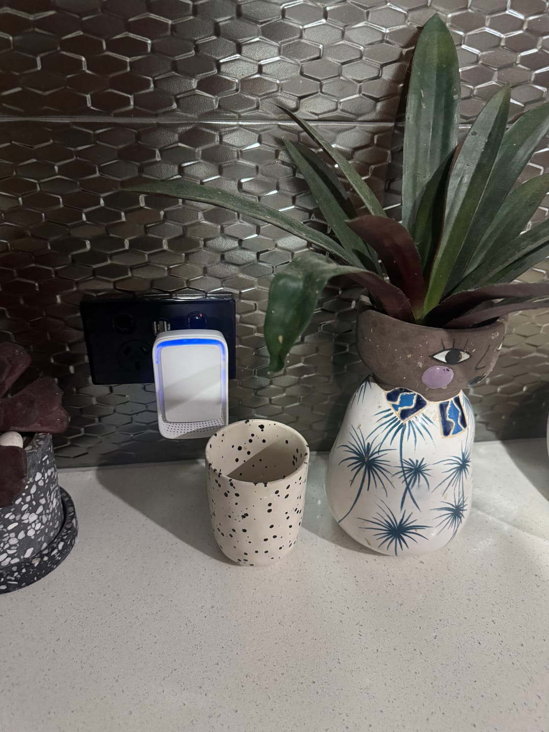 Customer photo review of Revalisse™ - Mattine più sane e una casa più sana