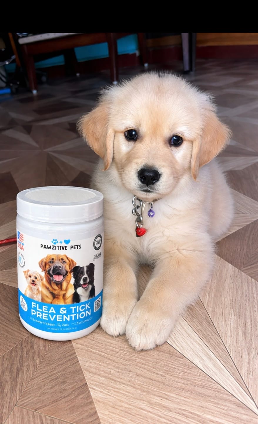 Customer photo review of Flea and Tick Prevention for Dogs – 120 Soft Chews