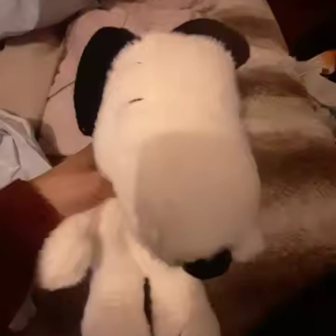 Customer photo review of Lumi – Your Calm & Sleep Companion