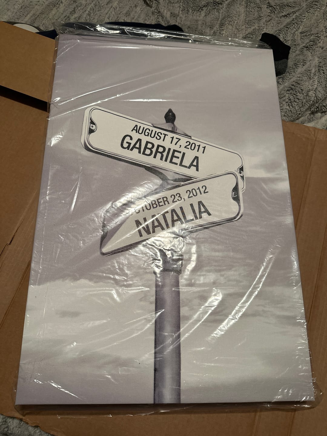 Customer photo review of My Street Sign Custom Children Names Personalized Canvas Print