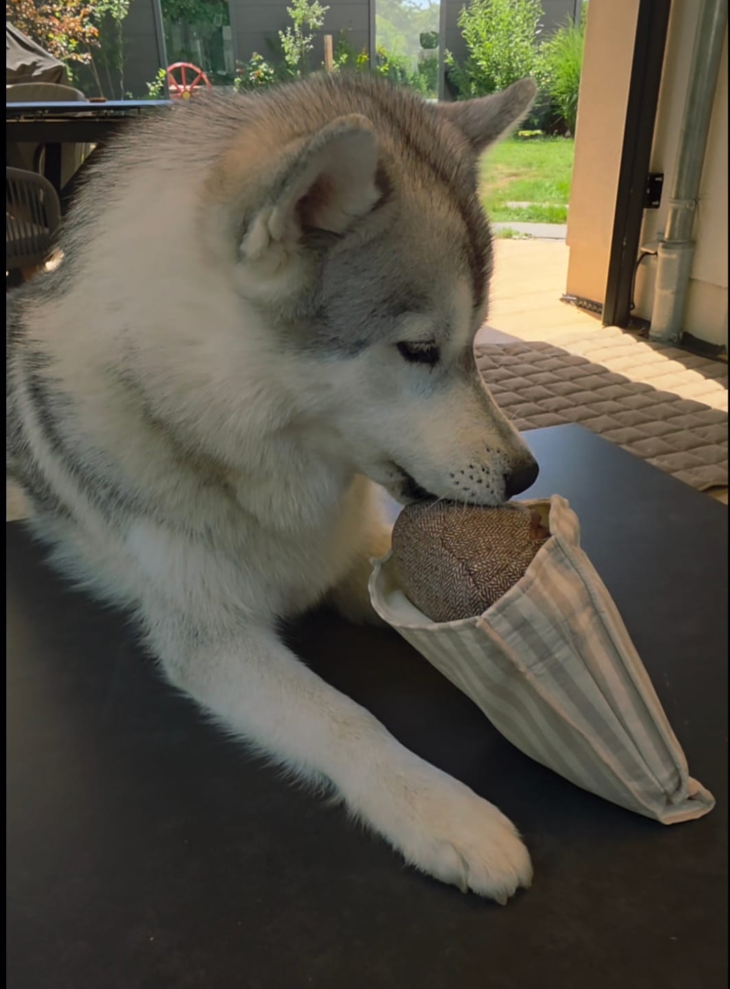 Customer photo review of Schnüffel-Spielzeug "Roggenbrot"
