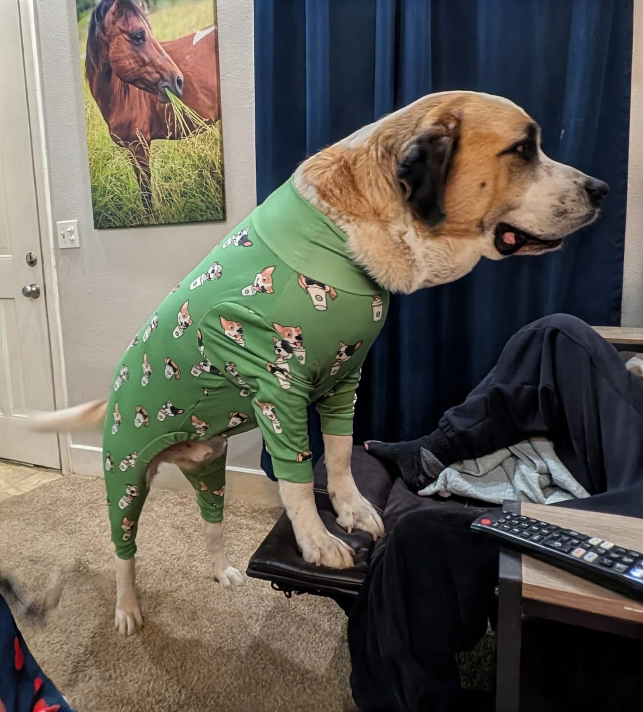 Customer photo review of Dog Pajama Prints