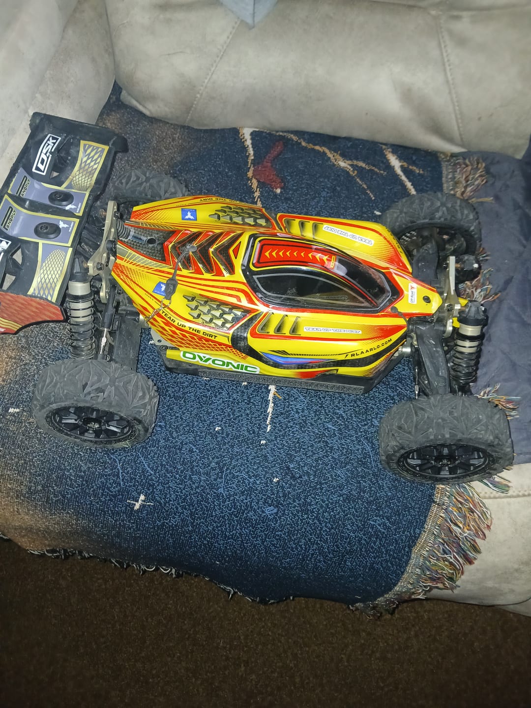 Customer photo review of Rlaarlo 1/8 4WD Buggy Dragon Scale Knight | DSK RTR