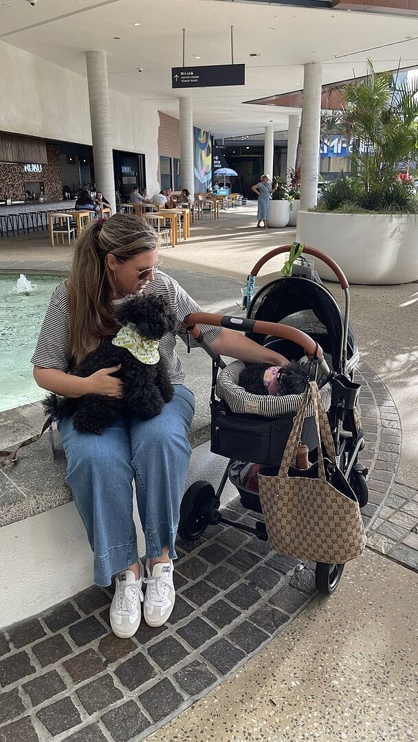 Customer photo review of Fur King Royal - 20kg Pet Stroller